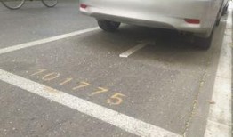 石家庄停车爆料事件最新,事件真相与公众反响深度解析