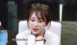 杨紫的妈妈爆料视频,揭秘明星家庭日常