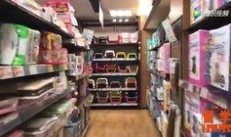 新兴宠物店爆料视频播放,爆款宠物用品背后的秘密