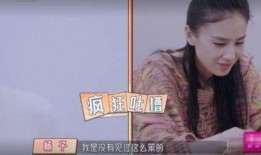 王大姐婆婆爆料事件视频,揭秘家庭矛盾背后的真相