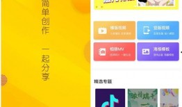 爆料视频模板,爆料视频背后的惊人真相，独家解析！