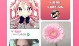 杨晨爆料视频最新版下载,揭秘事件真相