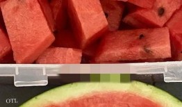 吃瓜网红照片下载,揭秘幕后花絮，带你领略明星日常