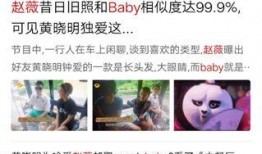 奶企高管爆料视频播放,揭秘行业黑幕与真相