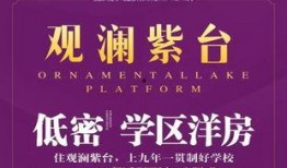 岳阳最新爆料新闻报道,揭秘神秘事件背后的真相