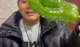 南充网红杜潇吃瓜事件,揭秘网络舆论的风云变幻