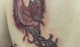 网红吃瓜视频纹身,纹身背后的故事与潮流