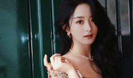 明星大爆料薇娅视频下载,明星大爆料视频下载全记录