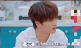 苏醒爆料陆虎视频播放,视频播放背后的惊人内幕