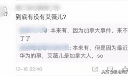 最新爆料出炉的歌曲,华语乐坛再掀热潮，神秘歌手演绎经典旋律