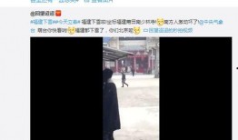 莆田最新爆料视频,事件真相再引热议