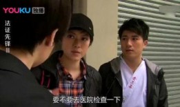 法证先锋第三部在线观看,揭秘真相的科技利剑