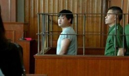 香港碎尸案爆料视频大全,惊悚事件背后的真相与疑云