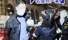 香港碎尸案爆料视频大全,惊悚事件背后的真相与疑云