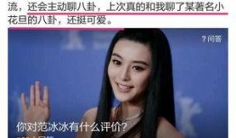 员工爆料范冰冰视频,员工爆料背后的真相