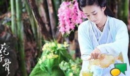 在线观看花千骨,穿越时空的宿命纠葛