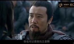 新三国59集在线观看,英雄末路，乱世风云再起