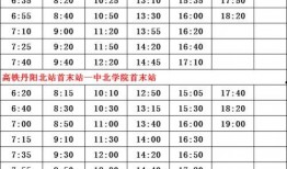 雷神专武配置表最新爆料,揭秘最新配置表亮点解析