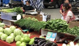 长春菜市场爆料案件最新,真相揭秘，涉案细节曝光