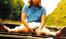 在线观看解放的潘多拉,在线观看解放的启示录