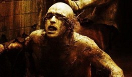 寂静岭电影在线观看,惊悚之旅，在线惊悚电影深度解析