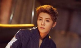 鹿晗家世爆料视频播放,家族背景曝光，明星光环背后的故事