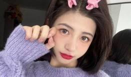 板鸭新装甲爆料视频播放,视频爆料揭示先进防御科技