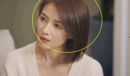 男子爆料新疆景区视频播放,男子亲历震撼美景与独特风情