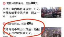 最新爆料视频收益,收益背后的惊人真相