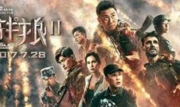 战狼 2在线观看,燃情热血，捍卫家国情怀的视觉盛宴