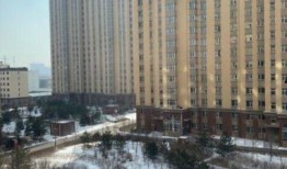 开源嘉苑爆料案件最新,揭秘背后真相与法律较量！”