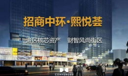 深圳空少爆料最新消息今天,揭秘航班内幕，今日热点事件大揭秘