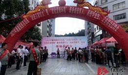 通道县红网最新爆料,揭秘XX事件背后真相