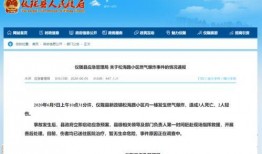 燃气报修爆料视频,揭秘燃气泄漏紧急处理全过程